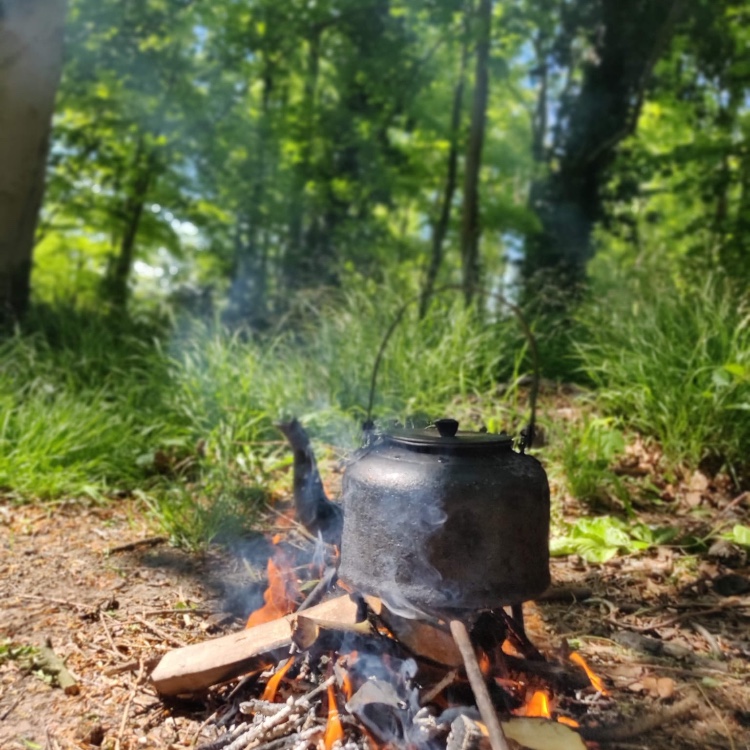 Kettle on campfire in woods