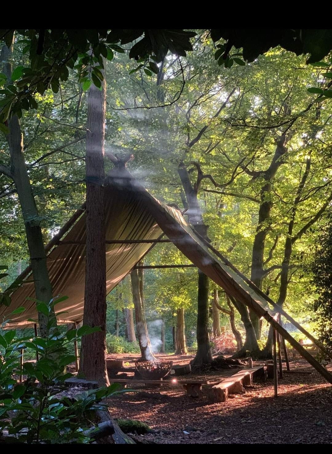 Woodland Wellbeing