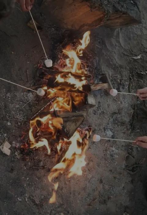 Aerial view of campfire