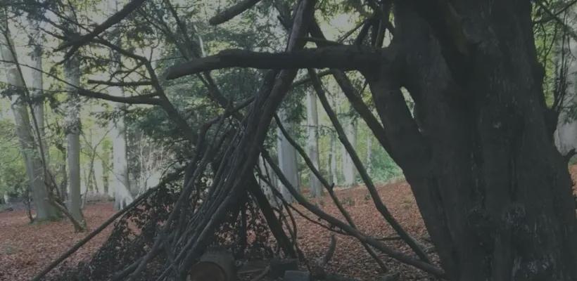 Natural shelter